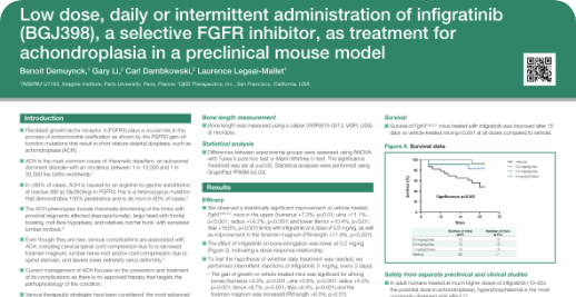 Infigratinib For Achondroplasia And HCH | FGFR3 Signaling